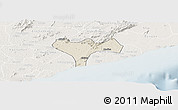 Shaded Relief Panoramic Map of Ga, lighten