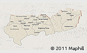 Shaded Relief 3D Map of Upper East, lighten