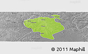 Physical Panoramic Map of Sandemen, desaturated