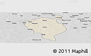 Shaded Relief Panoramic Map of Sandemen, desaturated