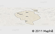 Shaded Relief Panoramic Map of Sandemen, lighten