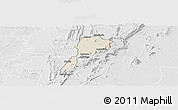 Shaded Relief Panoramic Map of Gbi, lighten, desaturated