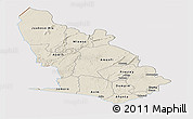 Shaded Relief Panoramic Map of Western, cropped outside