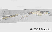 Shaded Relief Panoramic Map of Samos, desaturated