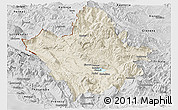 Shaded Relief Panoramic Map of Ioannina, desaturated