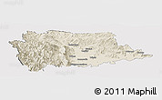 Shaded Relief Panoramic Map of Trikala, cropped outside