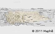 Shaded Relief Panoramic Map of Trikala, desaturated