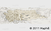 Shaded Relief Panoramic Map of Trikala, lighten