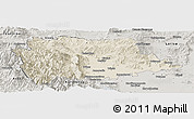 Shaded Relief Panoramic Map of Trikala, semi-desaturated
