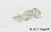 Shaded Relief Panoramic Map of El Progreso, cropped outside