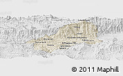 Shaded Relief Panoramic Map of El Progreso, lighten, desaturated