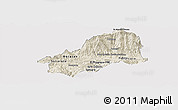 Shaded Relief Panoramic Map of El Progreso, single color outside