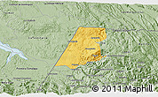 Savanna Style 3D Map of Nenton