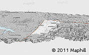 Gray Panoramic Map of Nenton