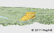 Savanna Style Panoramic Map of Nenton