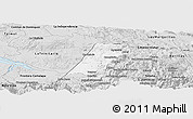 Silver Style Panoramic Map of Nenton