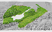 Satellite 3D Map of Izabal, lighten, desaturated