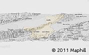 Shaded Relief Panoramic Map of Los Amates, desaturated