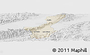 Shaded Relief Panoramic Map of Los Amates, lighten, desaturated