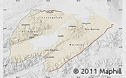 Shaded Relief Map of Izabal, lighten, desaturated