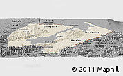Shaded Relief Panoramic Map of Izabal, darken, desaturated