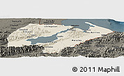 Shaded Relief Panoramic Map of Izabal, darken