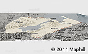 Shaded Relief Panoramic Map of Izabal, darken, semi-desaturated