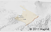 Shaded Relief 3D Map of Pto. Barrios, lighten, desaturated