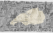 Shaded Relief 3D Map of Jalapa, darken, desaturated