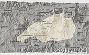 Shaded Relief 3D Map of Jalapa, darken, semi-desaturated