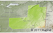 Physical 3D Map of Dolores, semi-desaturated