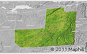 Satellite 3D Map of Dolores, lighten, desaturated