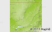 Physical Map of Flores