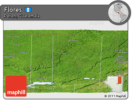 Satellite Panoramic Map of Flores