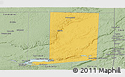 Savanna Style Panoramic Map of Flores