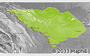 Physical 3D Map of La Libertad, desaturated