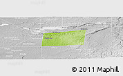 Physical Panoramic Map of Santa Ana, lighten, desaturated