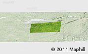 Satellite Panoramic Map of Santa Ana, lighten
