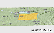 Savanna Style Panoramic Map of Santa Ana