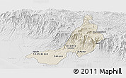 Shaded Relief Panoramic Map of Quezaltenango, lighten, desaturated