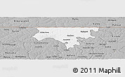 Gray Panoramic Map of Contuboel