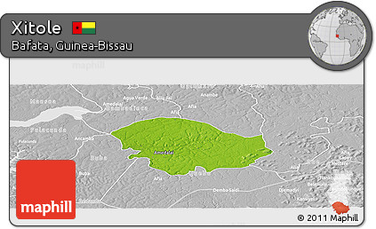 Physical Panoramic Map of Xitole, lighten, desaturated