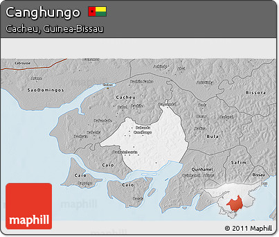 Gray 3D Map of Canghungo