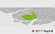 Physical Panoramic Map of Canghungo, lighten, desaturated