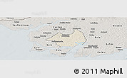 Shaded Relief Panoramic Map of Canghungo, semi-desaturated