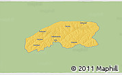 Savanna Style 3D Map of Farim, single color outside
