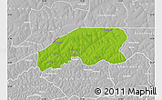 Physical Map of Farim, lighten, desaturated