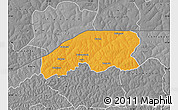Political Map of Farim, desaturated