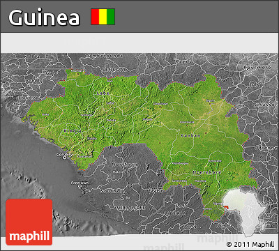 Satellite 3D Map of Guinea, desaturated