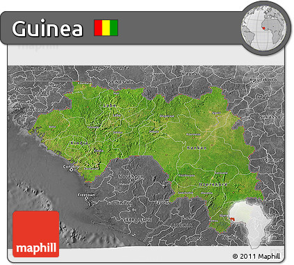 Satellite 3D Map of Guinea, desaturated